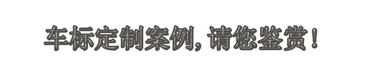 車(chē)标定制(zhì)案例.jpg